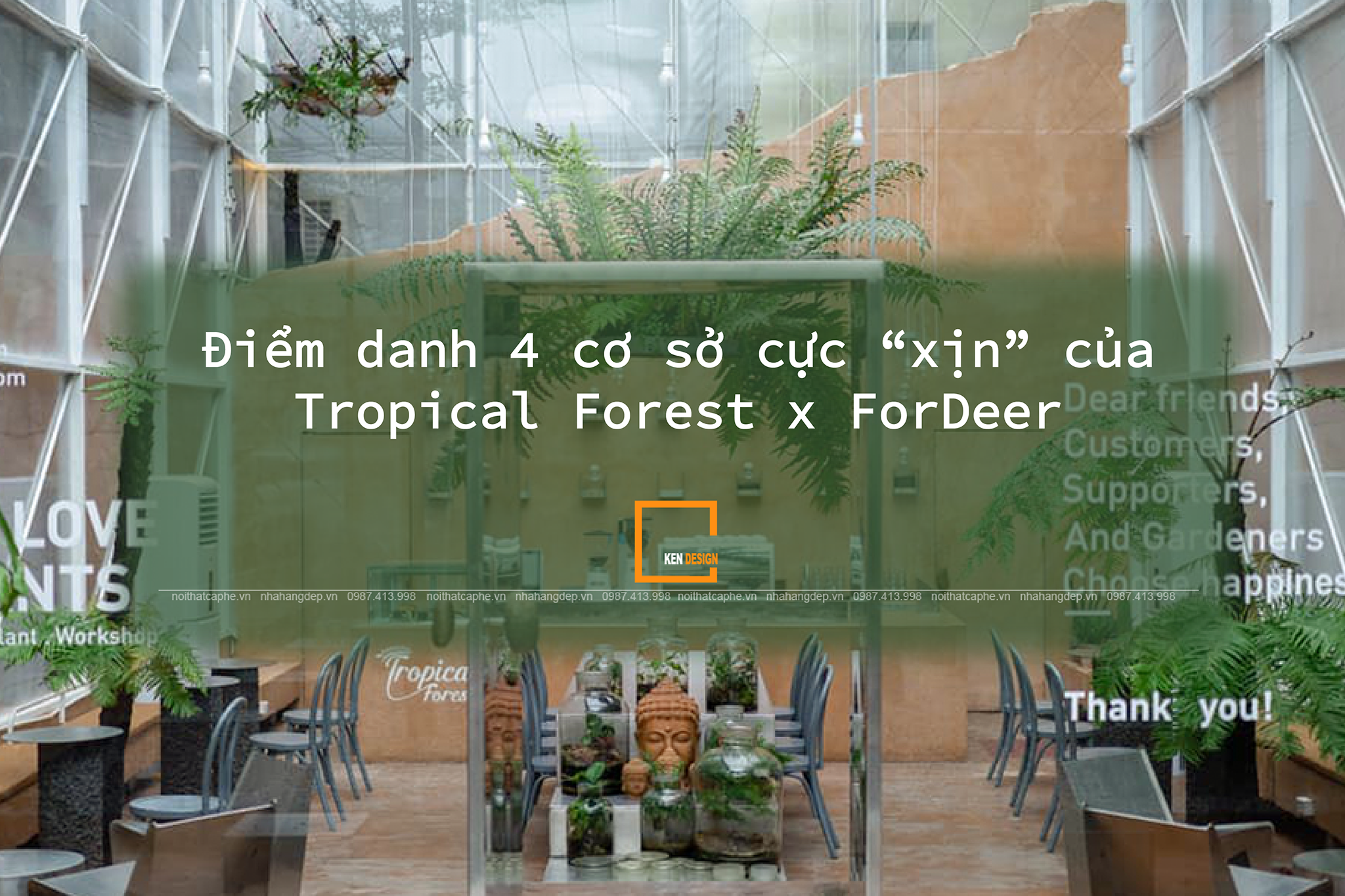 tổng hợp 4 cơ sở Tropical Forest